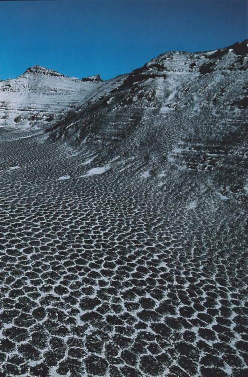 avtavr: Following an Age of Volcanic Ash, jigsaw patterns emerged upon the Antarctic desert terrain of Beacon Valley. photo by Maria Stenzel 