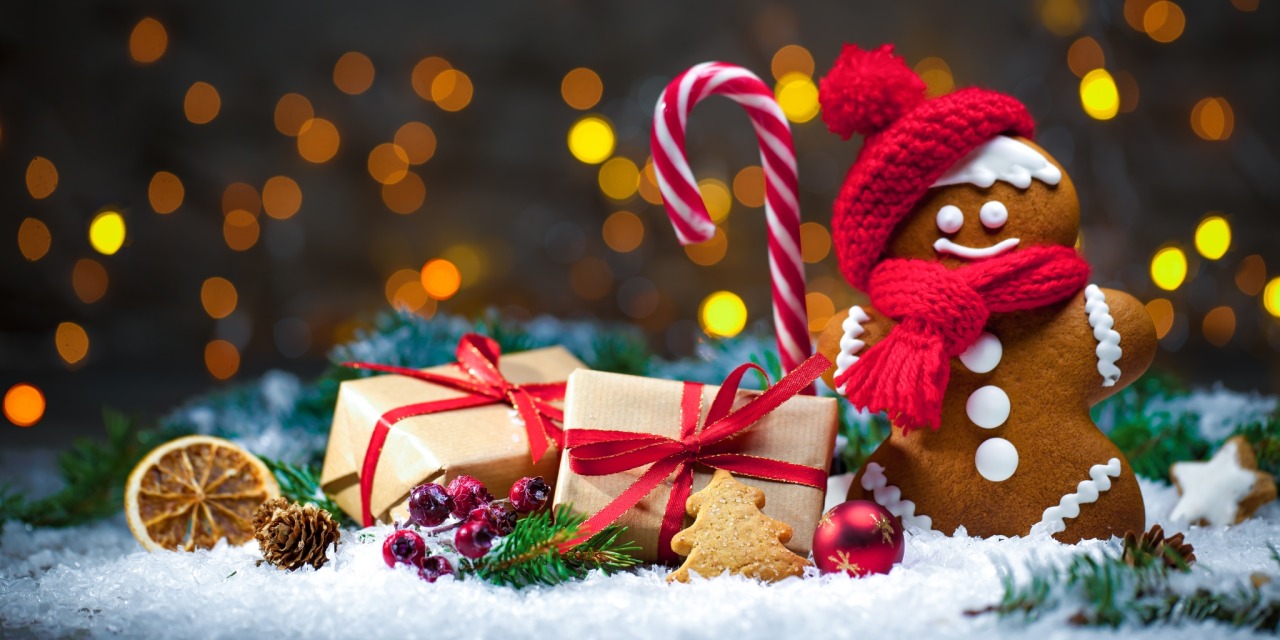 ring-ting-tingling: a-very-merry-christmas: 🎄  Here is always Christmas! 🌲