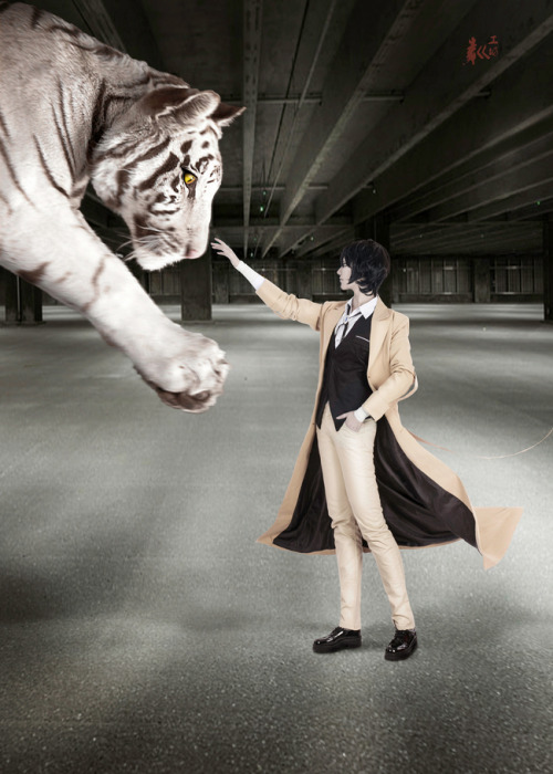 Bungou Stray Dogs All Members CosplaySource: Bungou Stray DogsCostume &amp; Wig: http://goo.gl/D7J13