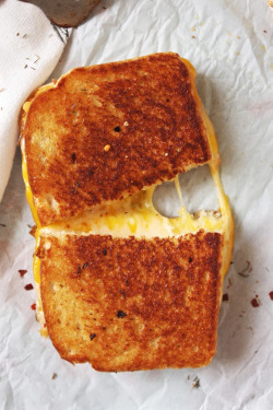 verticalfood:  Fancy Schmancy Grilled Cheese