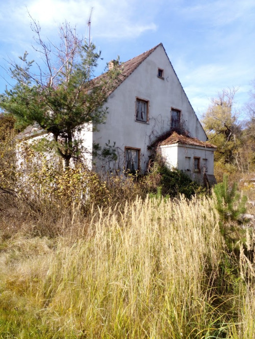 glasratz:Anbandoned house near a lake. I’ve known that place since I was born but never found 