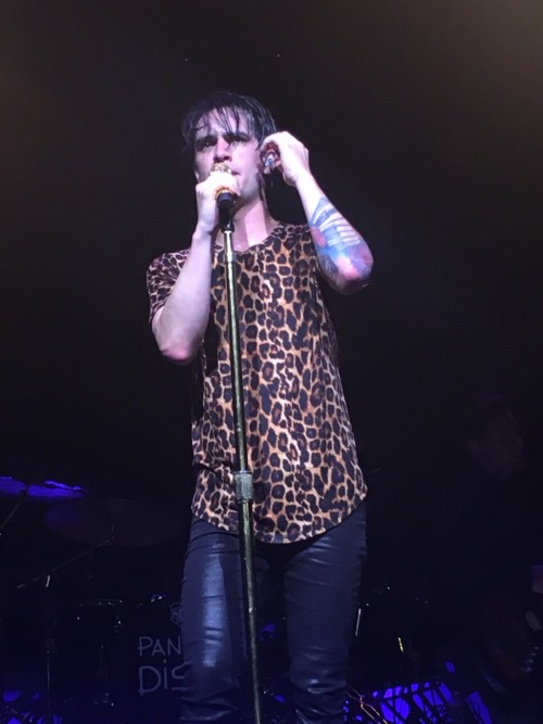 thehospiceis:heavenly tampa, fl \ 6.15.16