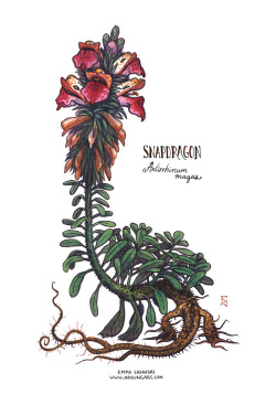 inklingart:Snapdragon Spritewatercolor, 4x6”by