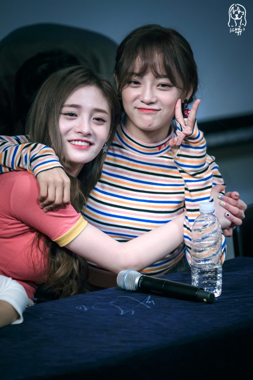 fyjieqiong: © 유댕류이 // do not edit, crop logo or use for commercial purposes