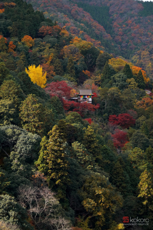 kokorojapanreisen:Blick über das Tal des Katsura Flusses in Arashiyama, Kyôto