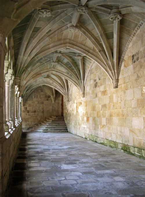 ibarbouron-us:medievalvisions:Cloister of the Santo Estevo Monastery at Ribas de Sil by Zelkova Carp