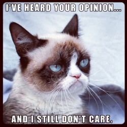 lizbensley:  #grumpycat #meme