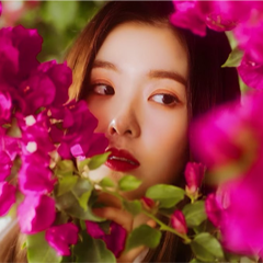 irene icons: from would u trailer©  yixgin