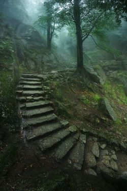 lori-rocks:  Stairway to the Castle …. by Karol Nienartowicz.