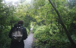 mikeysmth:  Before we found out this forest was inhabited by wild boar. 