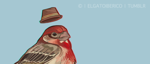 The next bird in the Beverage Passerines series, the (male) House Finch! :3It’s also available