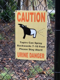 blue-eyes-white-dargon:  internetcallgirl:  &ldquo;URINE DANGER&rdquo;  GOD DAMMIT ITS ALSO A PUN IM REALLY ANGRY 