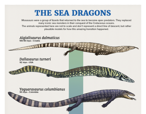 paleoart:Evolution Series: The Sea DragonsMosasaurs were a group of lizards that returned to the sea