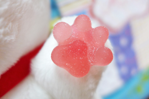 Gummy peach-flavored kitty paws~ with Nyanko-sensei :3