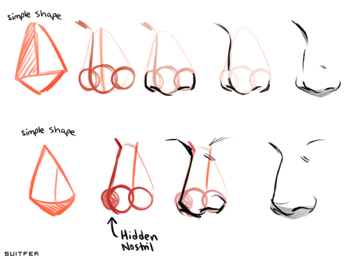 Thank You So Much!! Noses Can Be Tricky, But If You Simplify Them To Triangles And Circles, You’ll