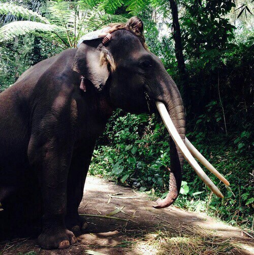 serehn-dipity: wetraveled: explore serehn-dipity