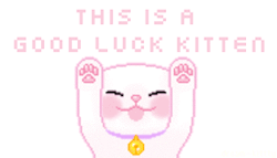 dream-kittty:  Hey kittens~ I know finals