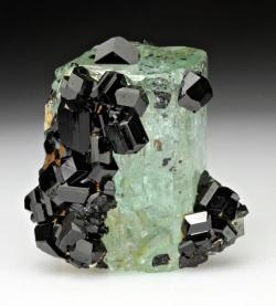 beautiful-minerals:  Schorl with Beryl var. Aquamarine from Namibia  Holy fuck though.