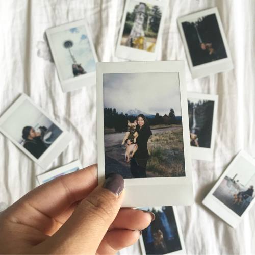 one of my favorite Polaroids taken on our trip through OR-WA. many thanks to @crailblock for taking Nala & I on this adventure with you & putting up with us! |🛣✨