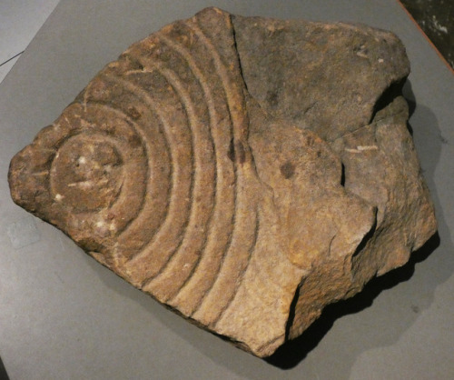 Stone Age and Bronze Age rock art in Northumberland, Great North Museum, Hancock, Newcastle-upon-Tyn