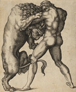 hadrian6:Hercules and the Nemean Lion. 1550. Italian.  engraving on laid paper.  http;//hadrian6.tumblr.com