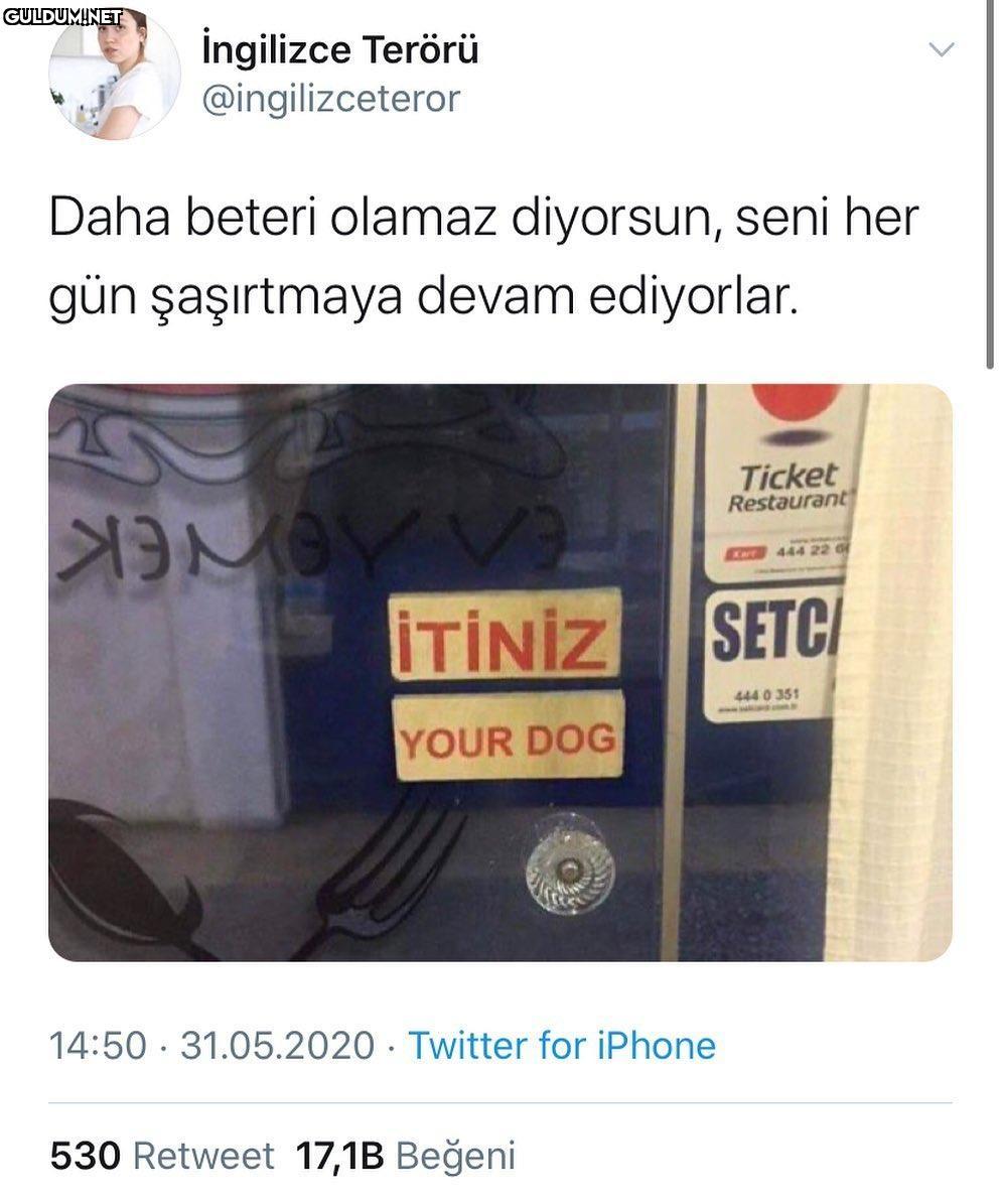 İngilizce Terörü...