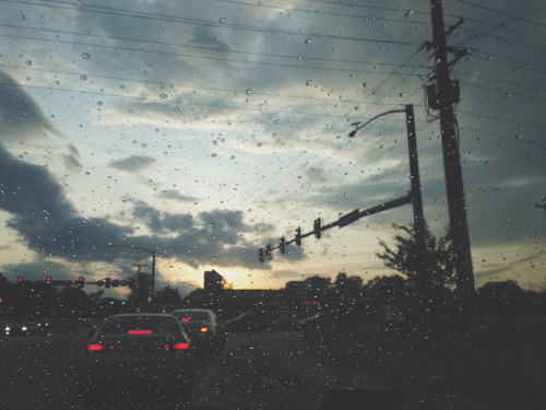 idenium:  Sun after rain on Flickr. 