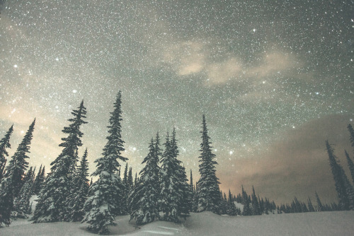 tidalweaves:  thisiswander:  Luke GramBritish Colombia, CanadaCanon 5D Mark II What other parts of the world would you like to visit besides where you live? Hard question. I mean, everywhere really. But more specifically at the top of my list are Africa,