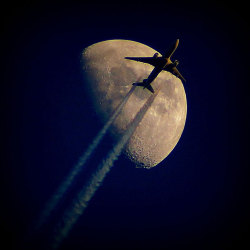 letsbuildahome-fr:  The Telegraph has the best readers Telegraph reader Giles Edwards took this photo of a plane passing in front of the moon at sunset from his garden in West Oxfordshire. If you have a photograph you’d like us to consider for a picture