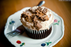 vintagefoods:  chocolate peanut butter cupcake by shboom on Flickr. 