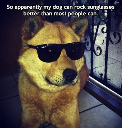 haha-woww:  haha…. woww….