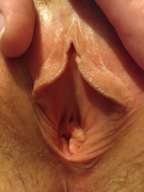 naughtywife44: Hi I’m Jimmy and that’s my mom Kerrie… I love having a cum loving slut for a mom… oh mom sucks and fucks me good… we play all the time… FYI guys… she sucks a mean cock👍👍👍👍👍👍👍👍👍👍👍👍👍👍👍👍👍