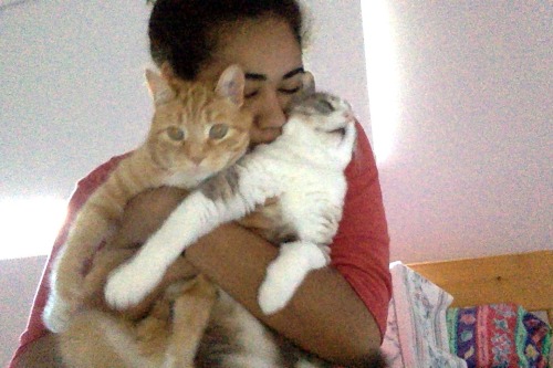 disneyismyescape: It’s apparently national hug your cat day helpand apparently my cats dont li