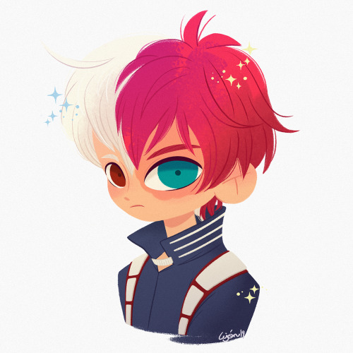 Shoto Todoroki