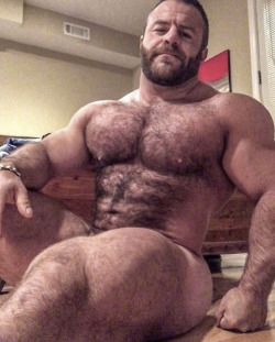 sttgds9voy:adonisbeef:bodybuildermusclecentral:AdonisBeef IAN  BEL OURS BRUN !