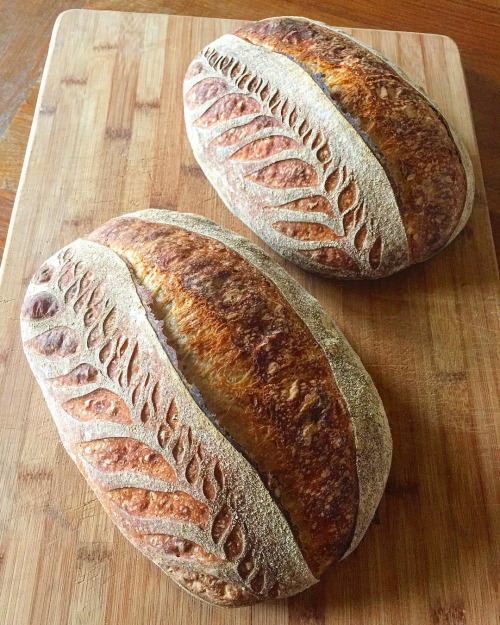 jordinaryguy: nevver: Carb your enthusiasm, Blondie + Rye I love bread, unfortunately bread does not
