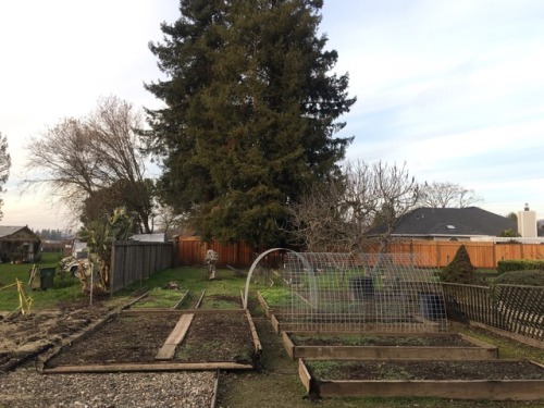 January in the garden. Not sure what&rsquo;s next yet, but doing our best to stay hopeful.