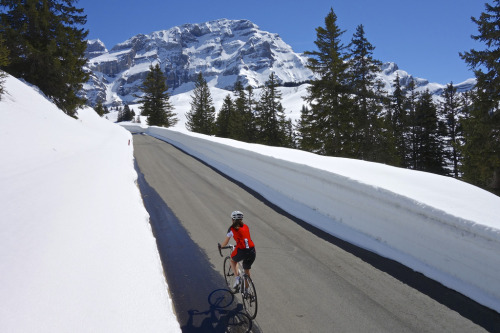 aswisswithapulse: View on the Massif des Diablerets