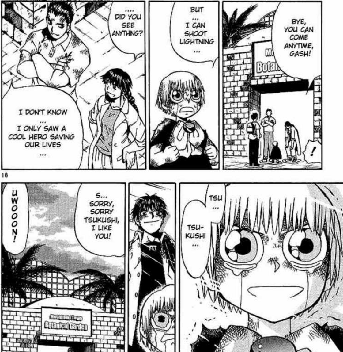 Zatch Bell! Side Story: Friends Manga