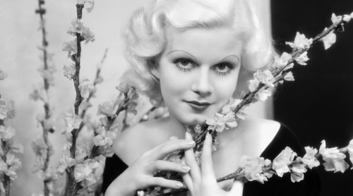 bogarted:A square shooter if there ever was one - Spencer TracyHappy Birthday Jean Harlow!