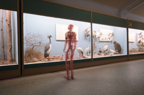 HUMAN AFTER ALL. By Artists, Jan Kriwol And Markos Kay.