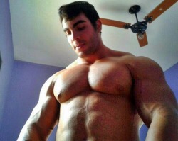 musclegazer:  Felipe Mattos massive 