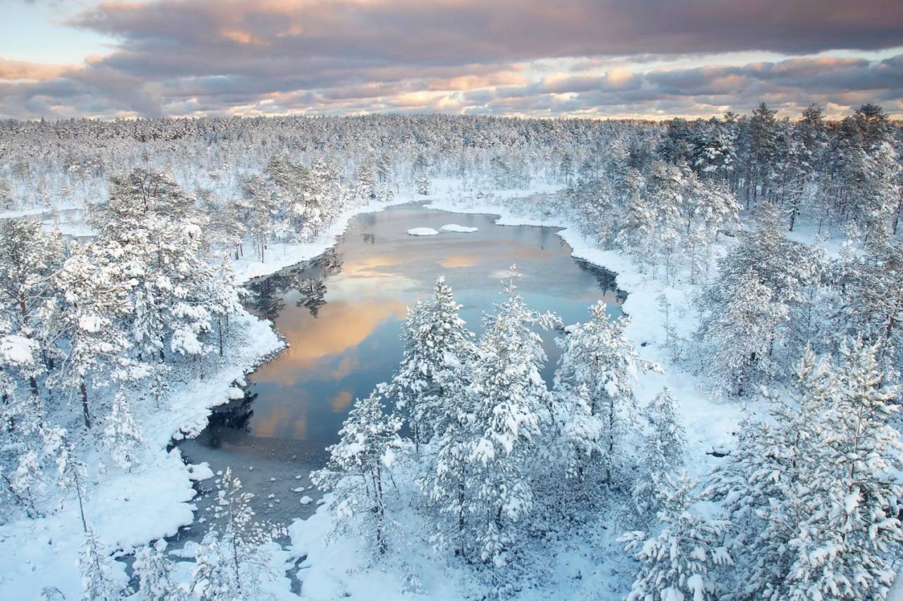 sci-universe:  The magical bogs of Estonia  Image credit from the top (please don’t