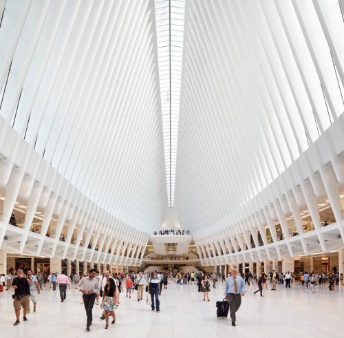 the oculus WTC new york by Santiago Calatrava