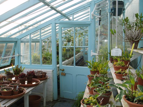 emeghration:  The Home of Charles Darwin,  Down House. Kent, England. This is the greenhouse where Darwin grew all those snow peas and developed his theory of Natural Selection, as well as many other experiments. 