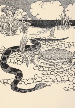 clawmarks: Illustration from Plodding Turtle’s story - 1906 - via Internet Archive