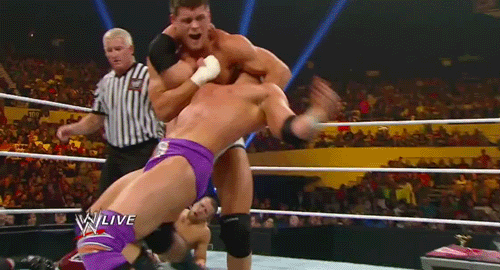 justkeeponpounding:  Love watching Ryder getting destroyed.