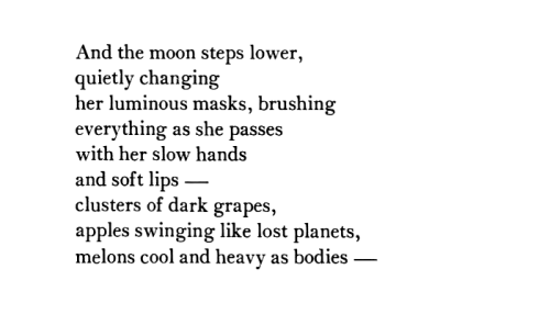 Mary Oliver, Harvest Moon — The Mockingbird Sings In The Night