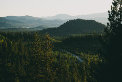 inmensus:  the lonely road by justinmullet on Flickr.                                                  