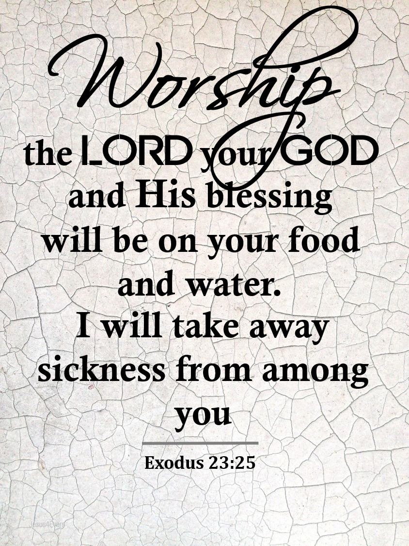 The Living... on Tumblr: Exodus 23:25 (NIV) - Worship the LORD your God,  and His blessing will be on your food and water. I will take away sickness  from...